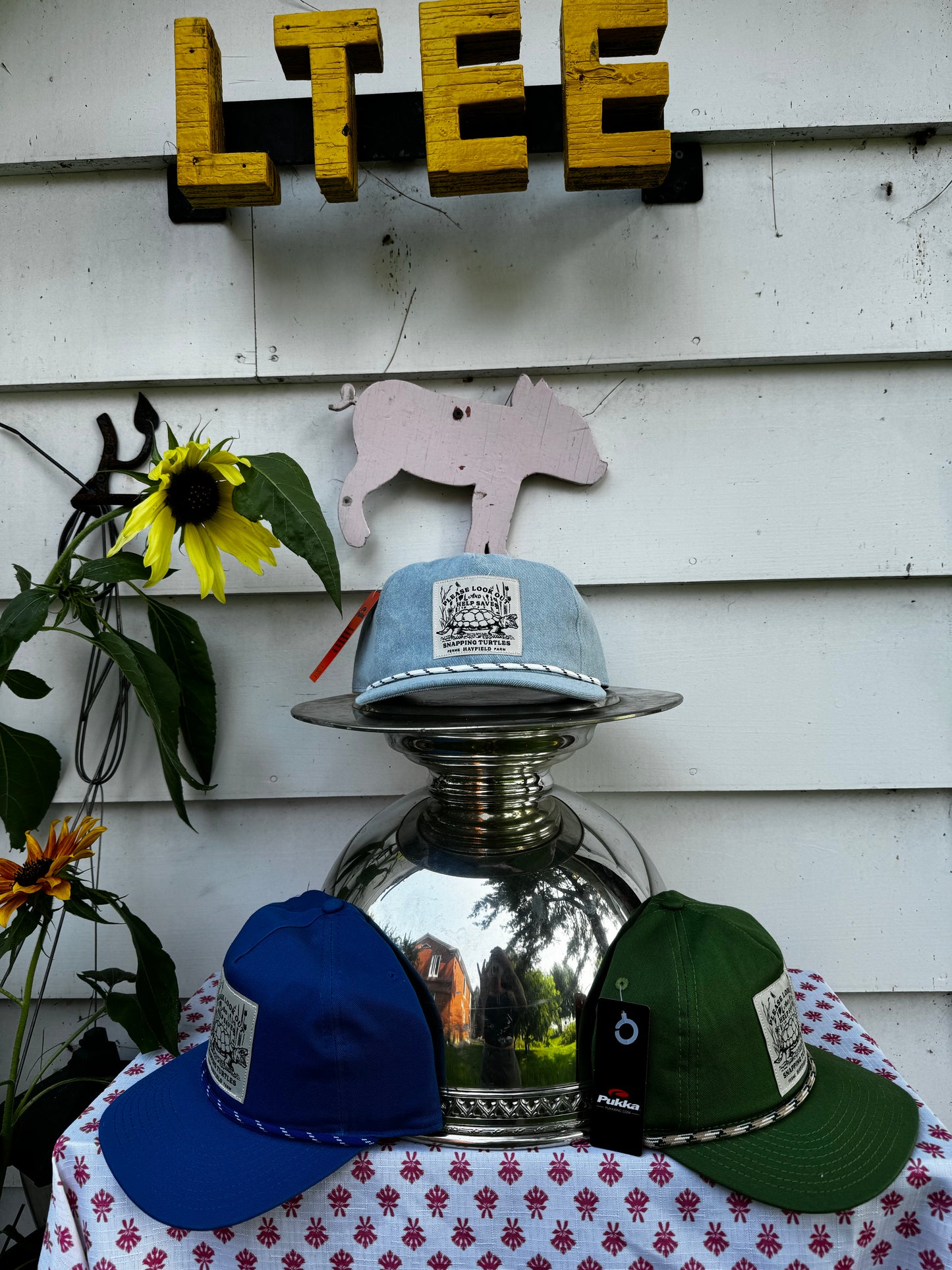 Save the turtles! Hat