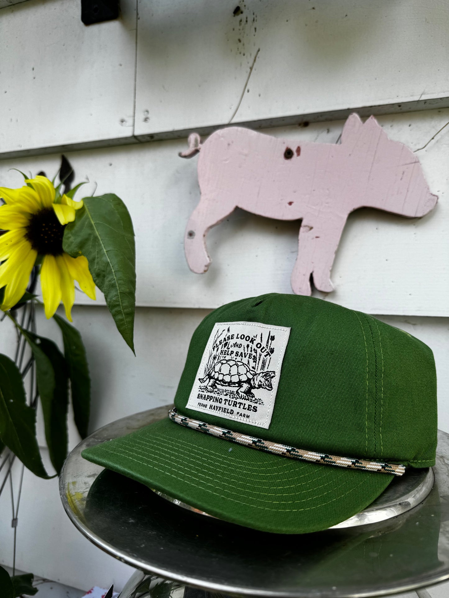 Save the turtles! Hat