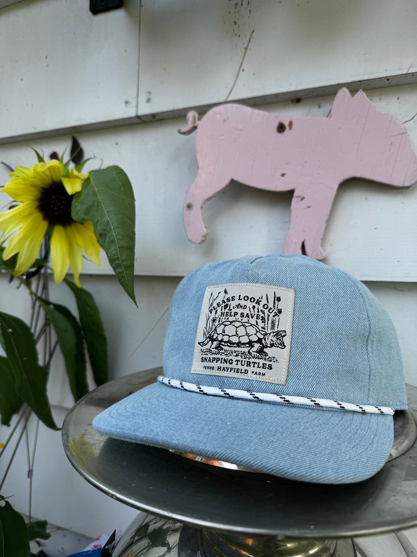 Save the turtles! Hat
