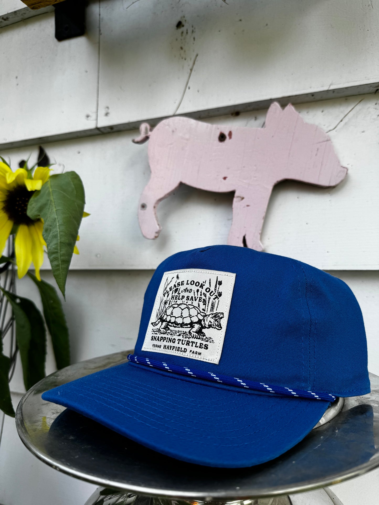 Save the turtles! Hat