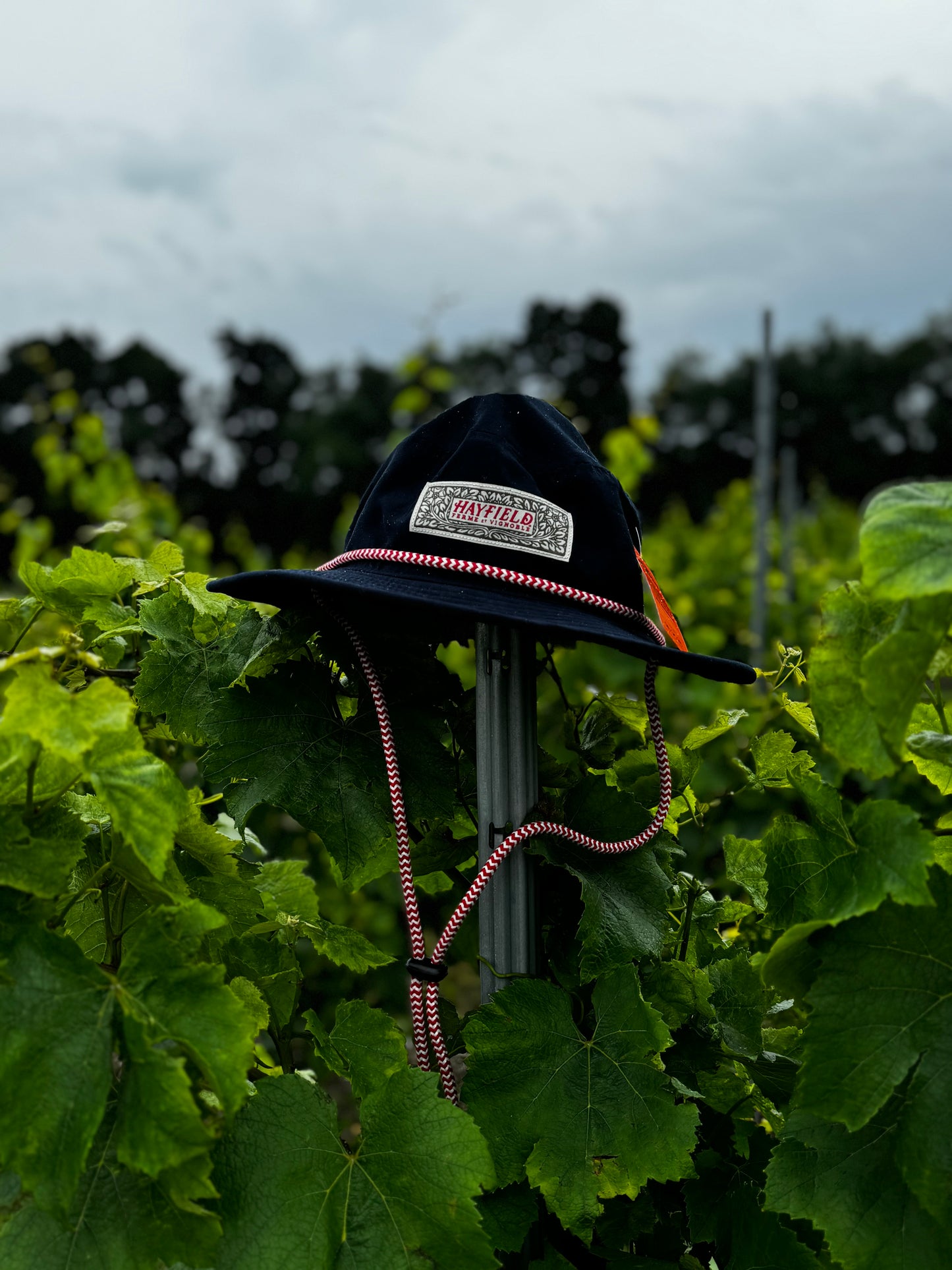 Hayfield Bucket Hat