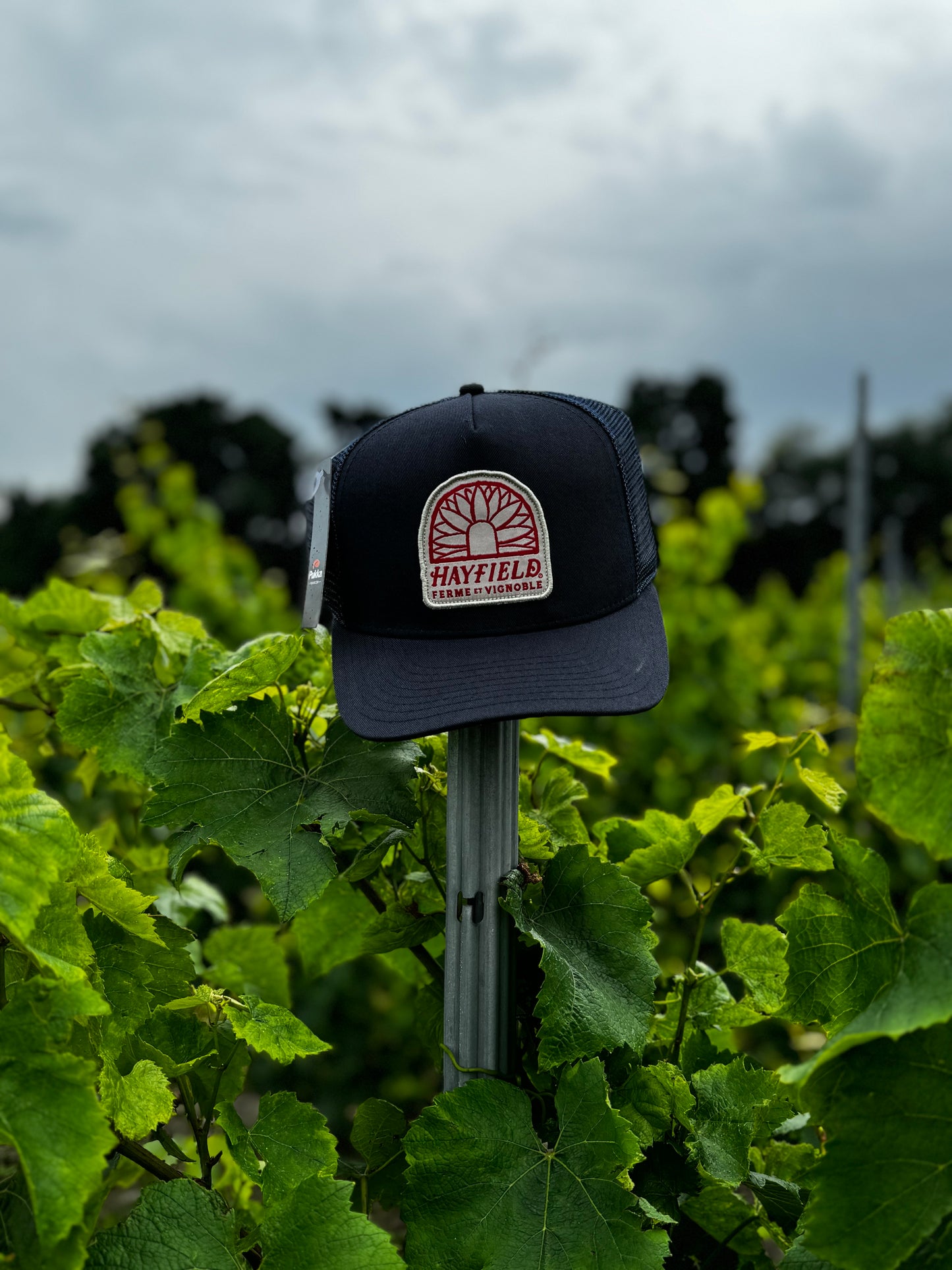 Hayfield Soleil Hat
